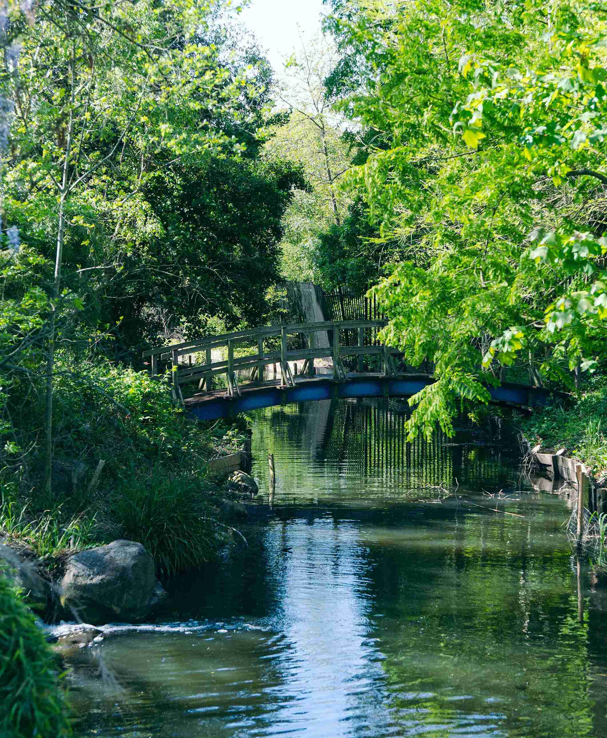 Canal In The Summer